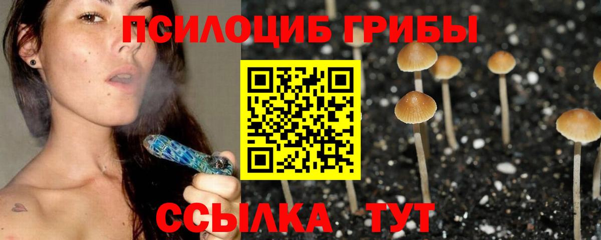 Галлюциногенные грибы Cubensis Обнинск